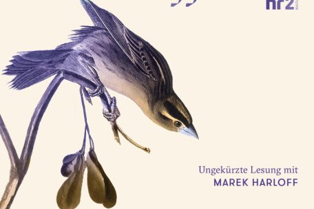 Hörbuch / „Lichtungen“ von Iris Wolff im Test