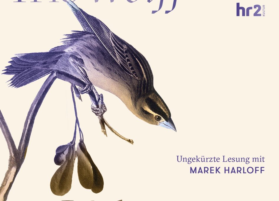 Hörbuch / „Lichtungen“ von Iris Wolff im Test