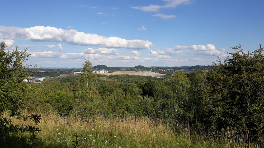 Unsere Sommertipps / Wandern im früheren Tagebaugebiet „Giele Botter“