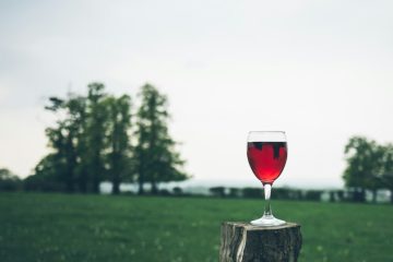 Gesundheit / Studie ergibt: Es gibt kein„gesundes Gläschen Wein“