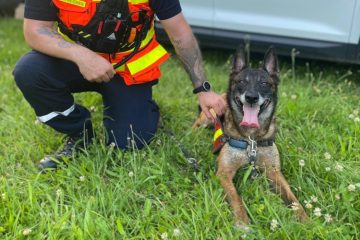 CGDIS / Flächensuchhund findet vermisste Person nahe belgischer Grenze