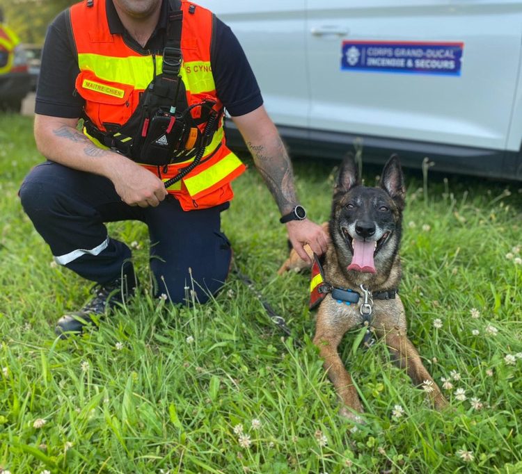 CGDIS / Flächensuchhund findet vermisste Person nahe belgischer Grenze