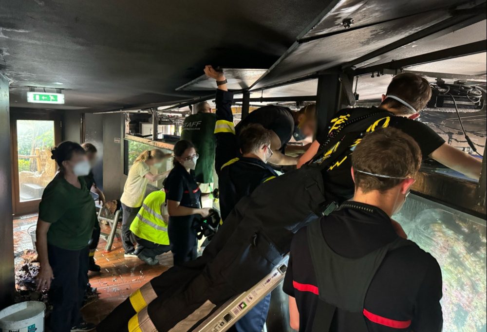 Bettemburg / Wegen Feuer im „Parc merveilleux“: Autoritäten evakuieren 500 Personen 