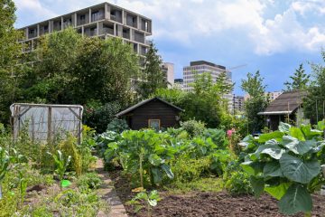Luxemburg / Grünes Paradies in der Betonwüste: Warum sich Menschen für Schrebergärten begeistern