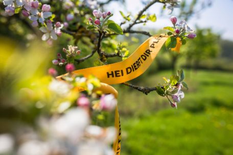 „Gielt Band“ / Gemeinde Clerf beteiligt sich an Aktion gegen Lebensmittelverschwendung