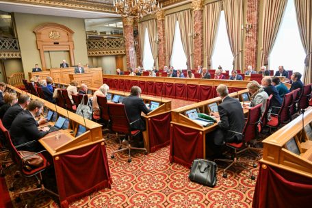 Chamber / Fleißige Fragesteller: Das erste Jahr der neuen Legislatur in Zahlen