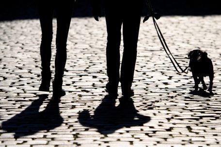 Luxemburg / Schock für Besitzer: Fünf Hunde nach Aufenthalt in Hundepension gestorben