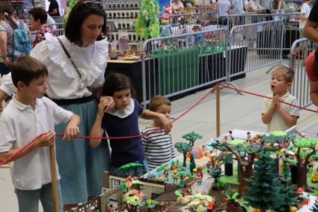 Bildergalerie / LuxPlaymoDays 2024: Wo Spielspaß auf Sammelleidenschaft trifft