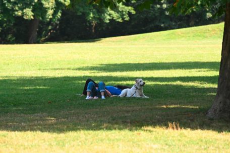 Editorial / Luxemburg hat reichlich Nachholbedarf im Tierschutz