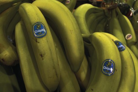 Unternehmen und Menschenrechte / Gerichtsurteil gegen Chiquita als ein möglicher Präzedenzfall