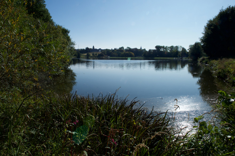 Wasserwirtschaftsamt / Badeverbot: Oberer See in Weiswampach von Blaualgen befallen