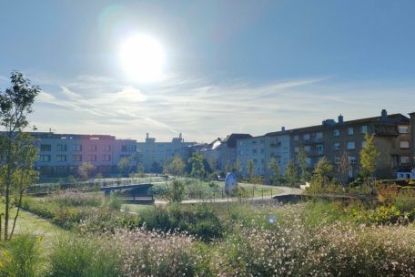 Der Park zwischen dem Wobrécken-Schulcampus und dem Elysis-Pflegeheim ist seit kurzem zugänglich