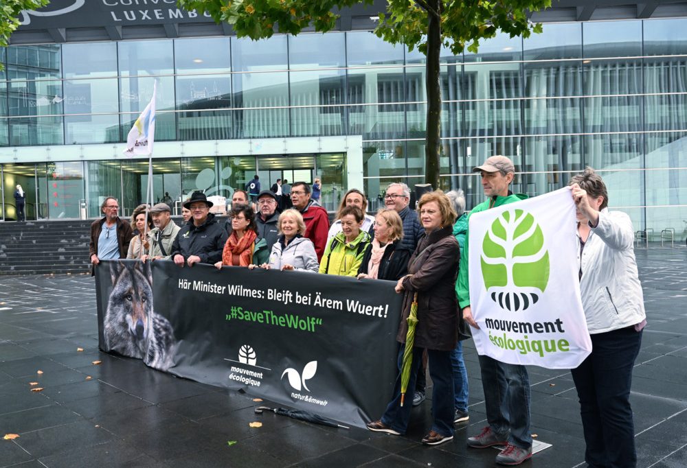 Umwelt / Wilmes bestätigt neuen Schutzstatus – Wolf sei in Luxemburg aber weiter „strikt geschützt“
