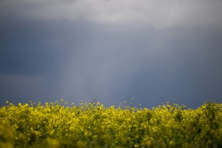 Gelbe Warnstufe / Meteolux erwartet Dauerregen ab Mittwochabend