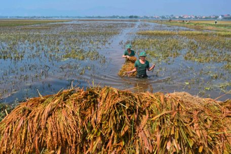 Nach Taifun / Luxemburg unterstützt humanitäre Nothilfe in Laos und Vietnam mit 600.000 Euro