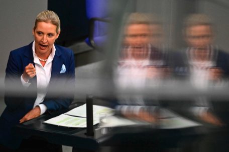 Medienbericht / Deutsche Abgeordnete wollen fraktionsübergreifende Initiative zu AfD-Verbot starten