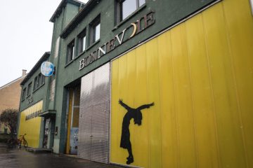 Danse / Assises sectorielles: des chorégraphies faites maison