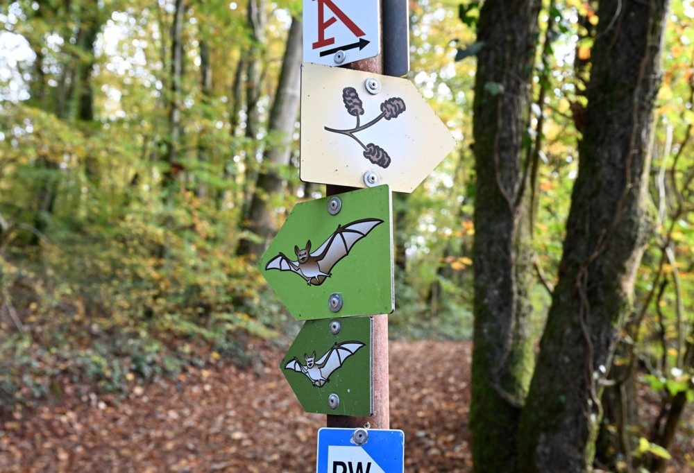 Klimawandel / Pro-Sud-Gemeinden engagieren sich – der Wert lokaler Aktionen für Klimaschutz