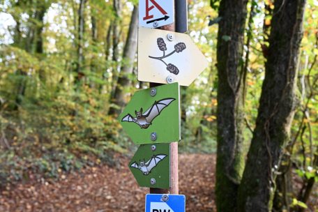 Klimawandel / Pro-Sud-Gemeinden engagieren sich – der Wert lokaler Aktionen für Klimaschutz