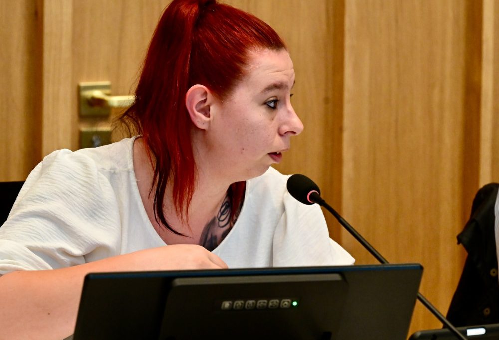 Wechsel zu den Grünen / Gemeinderätin Tammy Broers und sechs weitere Escher Piraten treten aus Partei aus