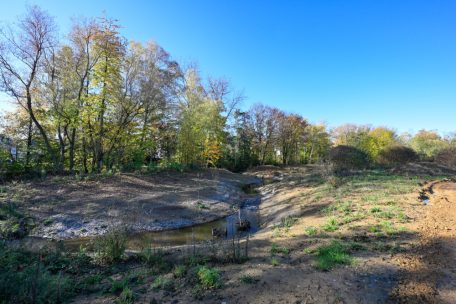 Esch / Im grünen Bereich: Renaturierung der Dipbech schreitet voran