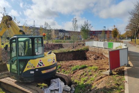 Im neuen Wobrécken-Park wird die Platane ihre neue Heimat finden