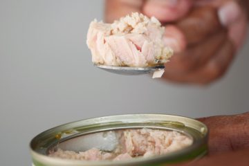 In ganz Europa / Mehrere NGOs warnen vor besorgniserregenden Quecksilberwerten in Thunfisch