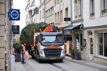 Luxemburg-Stadt / Durch Einkaufsstraßen bis zur Plëss: Gemeinde stellt Tanne für Winterlights auf