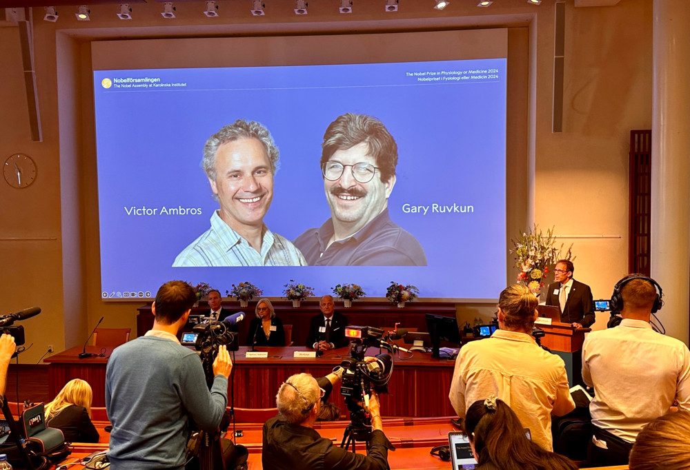 Stockholm / Medizin-Nobelpreis geht an zwei amerikanische Genregulations-Forscher