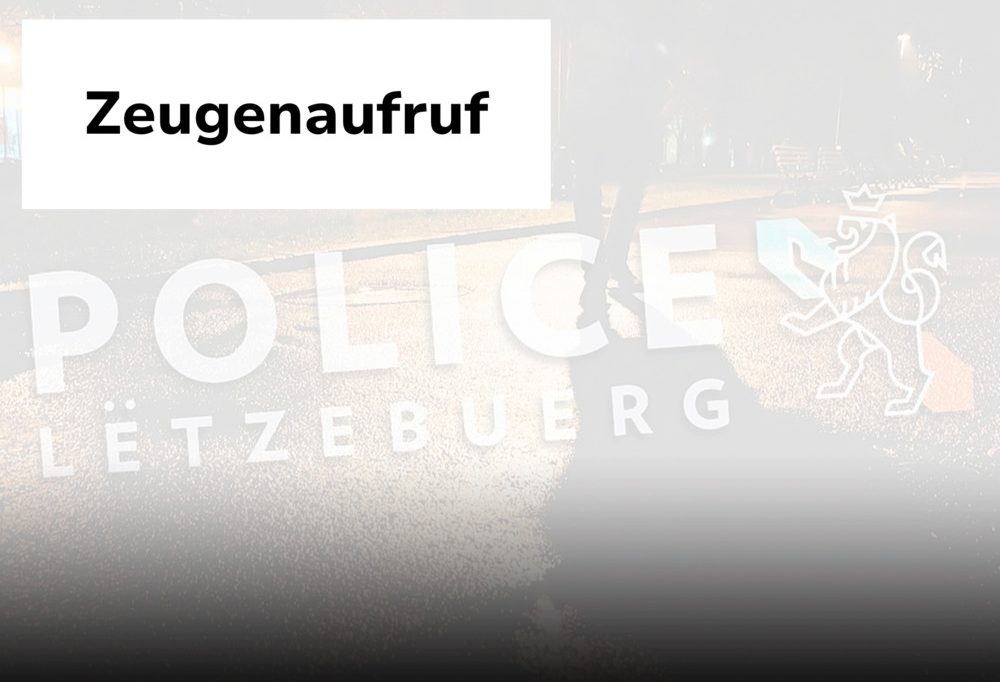 Zeugenaufruf / Einbruch in Baufachgeschäft kurz nach Mitternacht in Roost