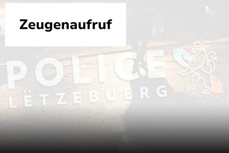 Zeugenaufruf / Einbruch in Baufachgeschäft kurz nach Mitternacht in Roost