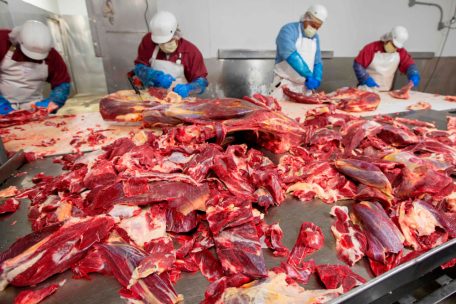 Editorial / Wenn wir wissentlich Tier und Mensch quälen, braucht es dringend „e Rëndelchen Empathie“