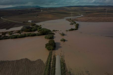 Spanien / Die Folgen der Regenkatastrophe in Valencia werden auch im Rest Europas zu spüren sein