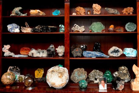 Sch&auml;tze von vor Millionen Jahren: Vogels Mineralien-Sammlung