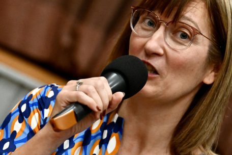 Norma Zambon, Präsidentin der FLVB