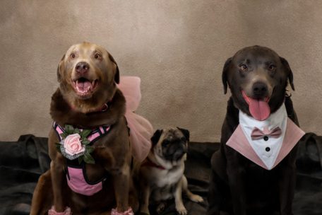 Differdingen / Nach Hundehochzeit von Kelly und Tobi: Besitzerin spendet 1.414 Euro an Tierschutzverein