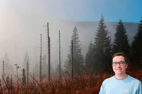 Experte / Hochdruckphase steht auf wackligen Beinen: Wetterlage wird langsam instabiler