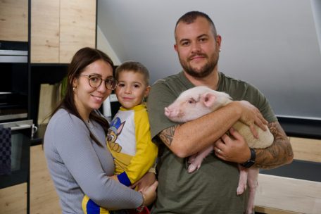 Colmar-Berg / „Wie Hund und Katze in einem“ – Familie Pellé fordert neue Rechte für Hausschweine