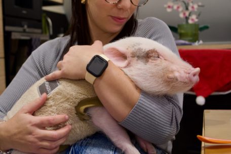 Babe liebt es zu kuscheln