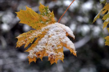 Tageblatt-Wetterexperte / Montag könnte der erste Schnee nach Luxemburg kommen – Sturmpotenzial ab Dienstag