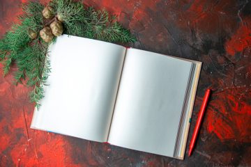 Der Politflüsterer / Fehlende Weisheit