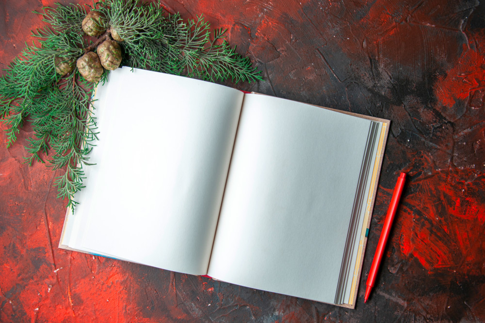 Der Politflüsterer / Fehlende Weisheit