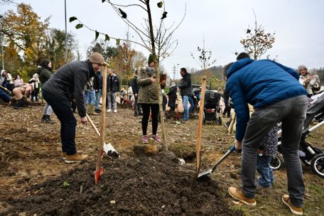 Fotogalerie / Der Tag des Baumes in Sanem