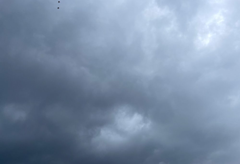 Gelbe Warnstufe / Meteolux warnt vor Windböen am Dienstag