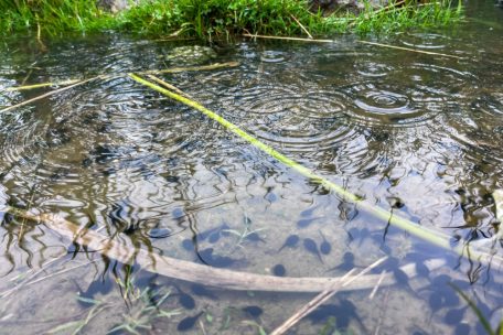 „Alerte jaune“ / Hochwasservorhersagezentrale warnt vor potenziellem Hochwasserrisiko