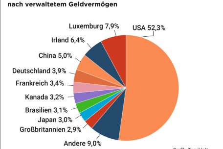 Marktanteile im ersten Halbjahr 2024