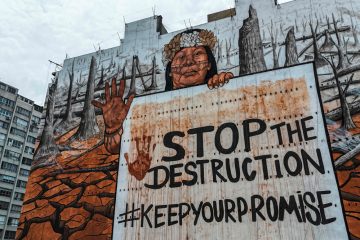 Rückschlag für EVP / Große Mehrheit der EU-Staaten gegen Abschwächung von Abholzungsgesetz