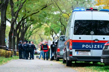 Wien / Neugeborenes aus Krankenhaus verschwunden – eine Babyleiche im Müll gefunden