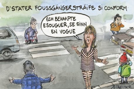 Editorial / Prinzipienfrage: Wieso der Gang vors Berufungsgericht ein Armutszeugnis für die Politik ist