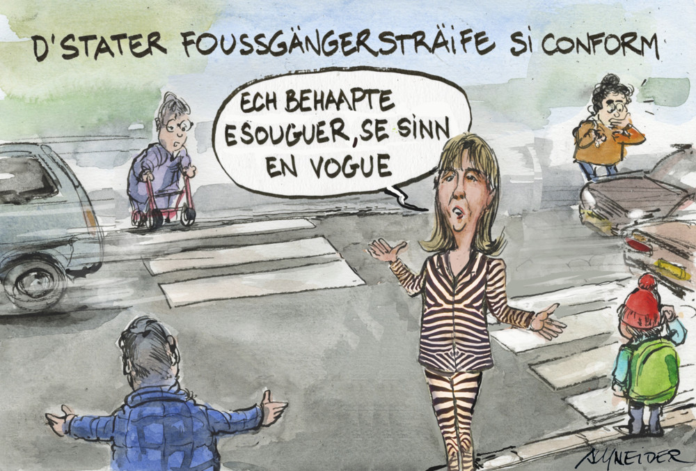 Editorial / Prinzipienfrage: Wieso der Gang vors Berufungsgericht ein Armutszeugnis für die Politik ist